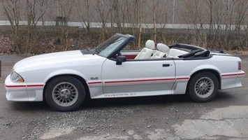 Avo-Mustang